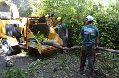 tree services Bellefonte